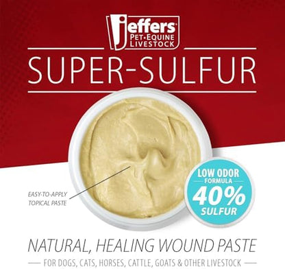 Jeffers Super Sulfur Natural Healing Paste for Dogs, Cats & Horses 8 oz – Wound Care, Skin & Coat Support for Animals, Soothes Itching & Inflammation, Dry Rough Flaky Skin, Hot Spots, Paw, Hoof Care