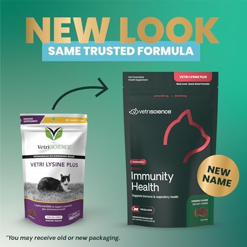 VetriScience Lysine Immunity Health Chews, 250 mg Lysine Plus Immune Supplement for Cats and Kittens with Allergies, Sneezing, Runny Nose and Watery Eyes, Chicken, 120 Count (Pack of 2)
