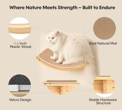 Cat Wall Shelves, Cat Window Perches with Curved Bed & 2 Sisal Mat Steps