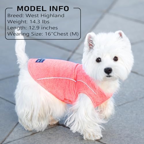 KYEESE Reflective Dog Shirt, Lightweight Sun Protection Dog T Shirts for Small Dogs, Breathable Sleeveless Puppy Tank Top Summer Dogs Clothes for Night Walking Outdoor, Coral Red, S
