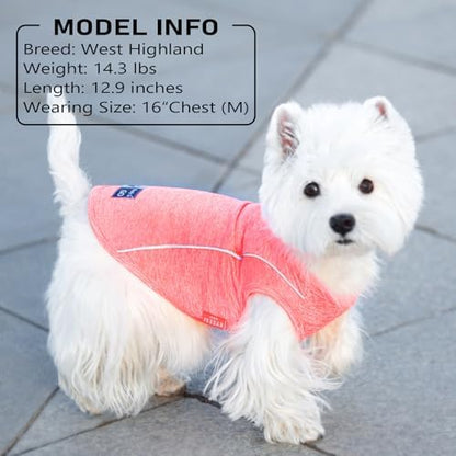 KYEESE Reflective Dog Shirt, Lightweight Sun Protection Dog T Shirts for Small Dogs, Breathable Sleeveless Puppy Tank Top Summer Dogs Clothes for Night Walking Outdoor, Coral Red, S