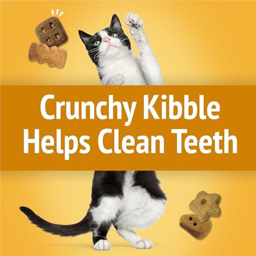 Friskies Purina Party Mix Cheezy Craze Crunch Cat Treats, (6) 6 oz Pouch