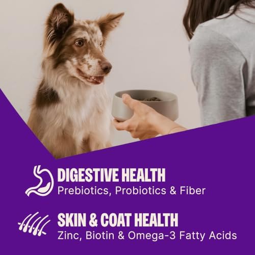 Wellness CORE Adult Dry Dog Food, Grain Free Kibble, Natural, High Protein, Turkey and Chicken Recipe, 35 lb Bag
