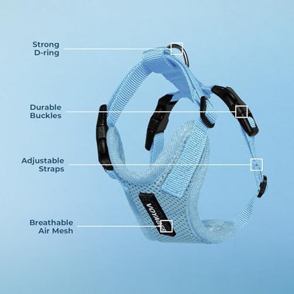 Voyager Step-in Lock Dog Harness - Baby Blue, Large