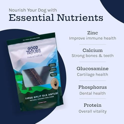 Good Trouble Premium Elk Antlers for Medium Dogs – 1 Pack Whole - Shed Antler Chews for Dental Health & Calming- Durable Dog Bones for Aggressive Chewers - Cruelty-Free, North American Sourced