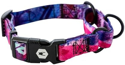 Wolfgang Heavy Duty Martingale Dog Collar with Quick Release Nylon Buckle for Walking & Training, Daydream Print, Small