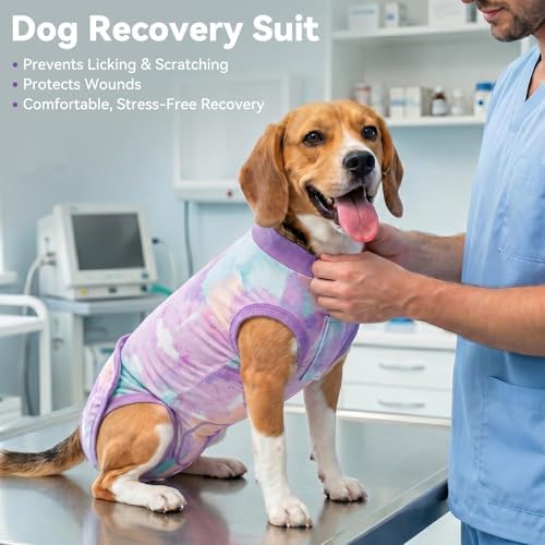 cyeollo Dog Surgery Recovery Suit, Spay Neuter Onesie for Female Male Dogs
