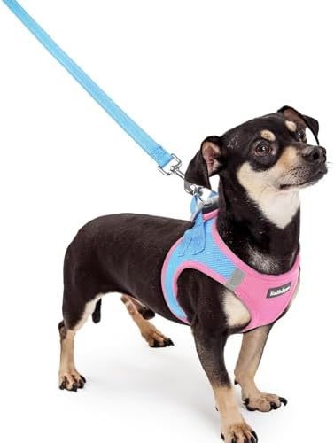 rabbitgoo Dog Harness Small Sized and Leash Set, Step-in Puppy Pet Vest