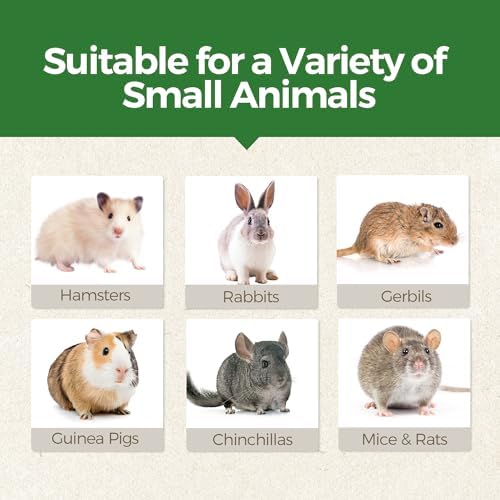 TEEWY Guinea Pig Chew Toys, Prevent Teeth Overgrowth, Natural Timothy Grass & Vegetables, Hamster Chew Toys, Guinea Pig Toys, Chinchilla Toys, 4PCS, Grass Patch & Carrots