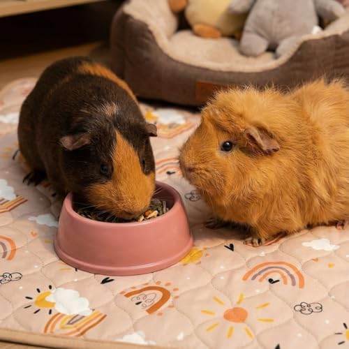 Guinea Pig Cage Liner, 49"x24" Bedding for Midwest Cage 2 Pack, Rainbow