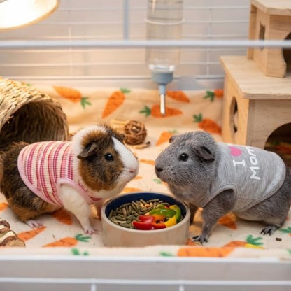Guinea Pig Clothes (2-Pack), Striped Small Animal Vest T-Shirt