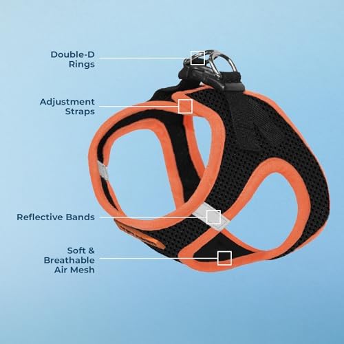 Voyager Step-in Air Dog Harness - All Weather Mesh Step in Vest Harness for Small and Medium Dogs by Best Pet Supplies - Orange Trim, M (Pack of 2)