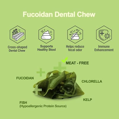 Fucoidan Functional Supplement Chew for Dogs - Immune System & Digestive Health Booster with Seaweed Superfoods 10 pcs