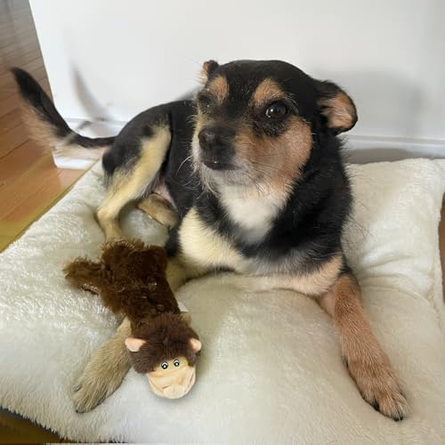 Best Pet Supplies 2-in-1 Stuffless Squeaky Dog Toy - Monkey, Small