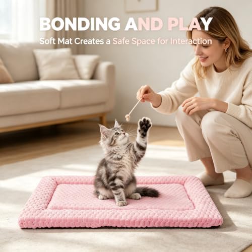 Cat Bed Mat - Durable & Cute Crate Beds for Extra Small Dogs & Cats, Comfortable Kennel Pad for Home, Crate & Travel