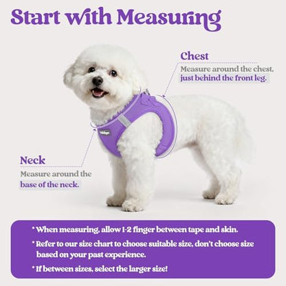 rabbitgoo Dog Harness Medium Sized and Leash Set, Step-in Puppy Pet Vest