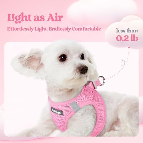 rabbitgoo Dog Harness Medium Sized and Leash Set, Step-in Puppy Pet Vest