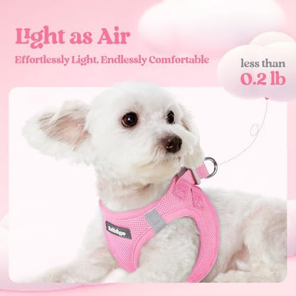 rabbitgoo Dog Harness Medium Sized and Leash Set, Step-in Puppy Pet Vest