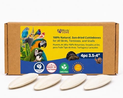 Birds LOVE 3.5-4″ Cuttlebone for Birds – 100% Natural Sun-Dried Calcium & Beak Conditioning Supplement for Parakeets, Budgies, Cockatiels, Finches & Canaries – 4 Pack with Holder – Made in Vietnam