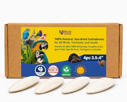Birds LOVE 3.5-4″ Cuttlebone for Birds – 100% Natural Sun-Dried Calcium & Beak Conditioning Supplement for Parakeets, Budgies, Cockatiels, Finches & Canaries – 4 Pack with Holder – Made in Vietnam