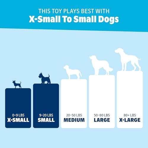 BarkBox Grimbold the Dragon Dog Toy - Toy for Extra Small to Small Dogs