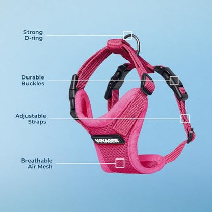 Voyager Step-in Lock Dog Harness - Fuchsia, Small