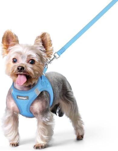 rabbitgoo Dog Harness Small Sized and Leash Set, Step-in Puppy Pet Vest