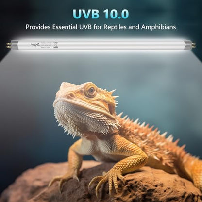 3-Pack UVB Reptile Light 10.0 Bulb 8W T5 Fluorescent Desert Lamp UVA for Bearded Dragon Tortoise Reptile & Amphibian