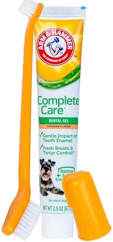 Arm & Hammer Complete Care Dental Gel Toothbrush Kit, Chicken, 3-Piece