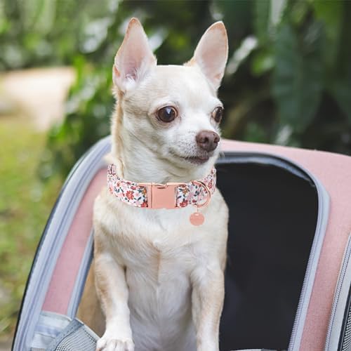 Dog Collar for Summer,Little Flower Dog Collar,Cotton Puppy Collar with Adjustable Buckle for Small,Medium,Large Girl Boy Dog