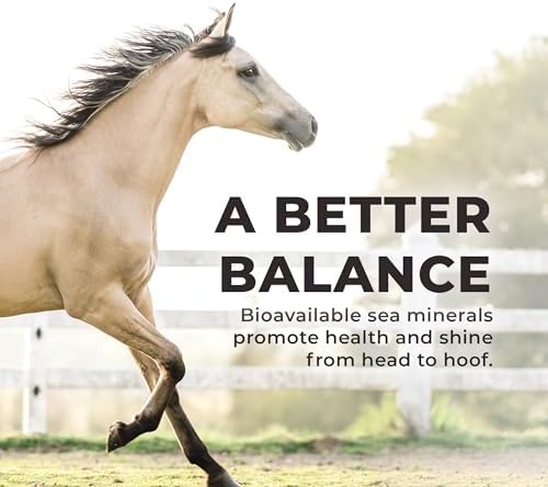 Daily Red Complete Wellness, Fortified Mineral Mix Supplement for Horses, 25lb Refill Bag