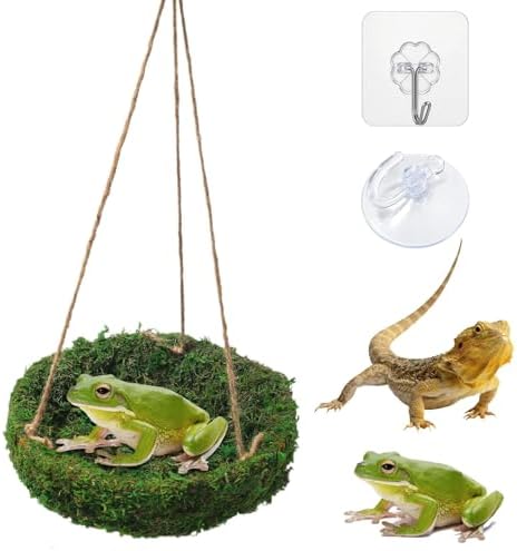 Frog Reptiles Cave Hide, Green Lizard Hideout with Safe Shelter