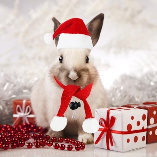 FOIMAS 12pcs Christmas Pet Chicken Hat Scarf Set Small Animal Hat Costume Set for Hen Duck Hamster Guinea Pig Rabbit Kitty Puppy Parrot Lizard Xmas Party Supply