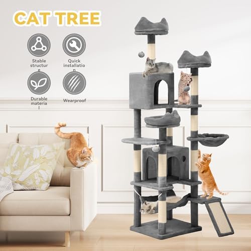 DWVO 75 in Multi‑Level Cat Tower
