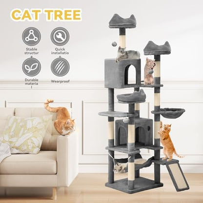 DWVO 75 in Multi‑Level Cat Tower