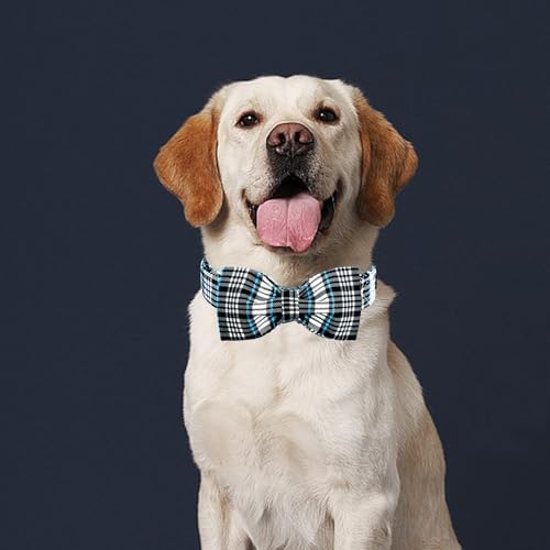 Lionheart glory Dog Bow Collar Blue and Black Plaid Dog Collar for X-Small Dogs,Boy Dog Collars with Bowtie Spring Summer Collars Soft Adjustable Pet Collar Bows