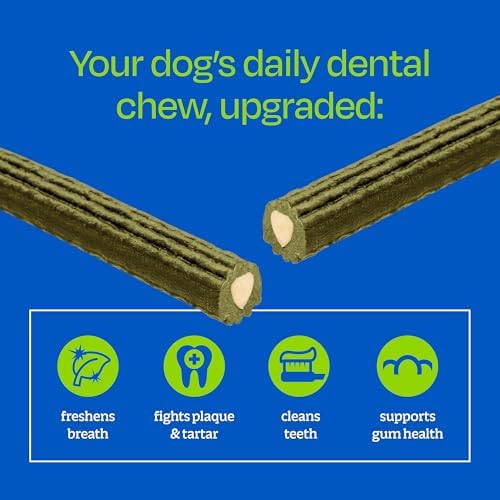Ark Naturals Brushless Toothpaste Dog Dental Chews - Large Breeds (10 ct)