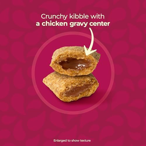 Meow Mix Gravy Bursts Dry Cat Food, 3 lb Bag