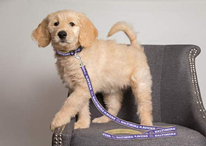 Baltimore Ravens Satin Leash
