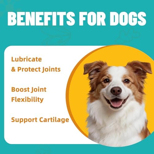Just Try Green-Lipped Mussels Hip & Joint Powder for Dogs
