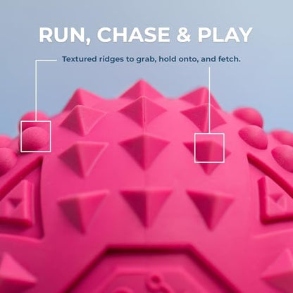 Best Pet Supplies Squeaky Dog Toys with Soft Durable Fabric for Small, Medium and Large Pets Interactive Toy for Indoor Play, Supports Active Biting and Play - Fuchsia, Large