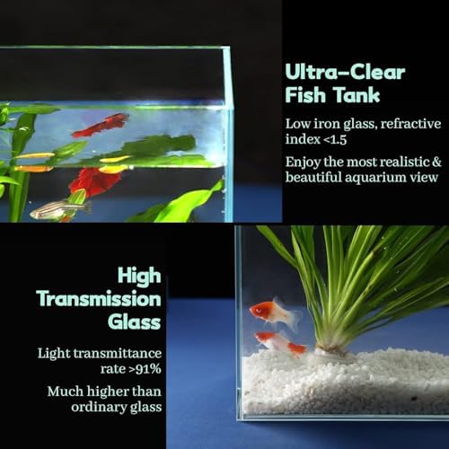 LAQUAL 6.5 Gallon Ultra Clear Glass Fish Tank, Rimless Low Iron Aquarium for Betta/Nano/Goldfish/Snail/Shrimp, Fish Tank & Cover Set & Feeding Ring & Cleaning Tools