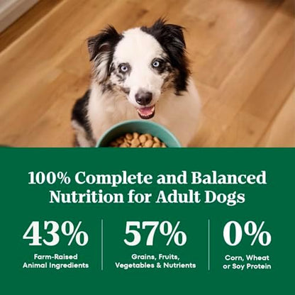 Nutro Natural Choice Dry Dog Food, Salmon & Brown Rice Recipe, 4.5 lb