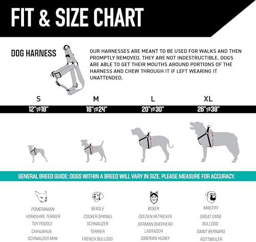 Wolfgang Heavy Duty Adjustable Dog Harness, Pull-Tested to Over 800 lbs for Walking & Training, LosMuertos Print, Large