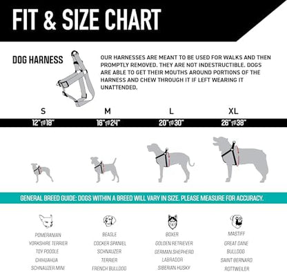 Wolfgang Heavy Duty Adjustable Dog Harness, Pull-Tested to Over 800 lbs for Walking & Training, LosMuertos Print, Large