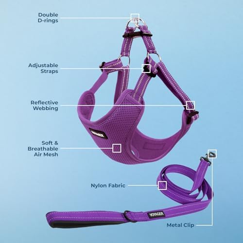 Best Pet Supplies Voyager Adjustable Step-in Flex Breathable Mesh Dog Harness for Small Medium Large Dogs Leash Set (Purple), S