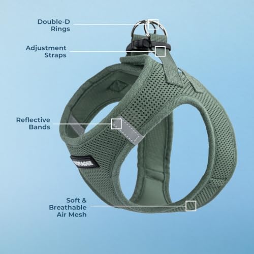 Best Pet Supplies - All Weather Mesh/Plush, Reflective, No Pull Harness for Small, Medium Dogs, Cats - Secure with Hook & Loop Fastener, Buckle, Double D-Rings - Moss Green, XL