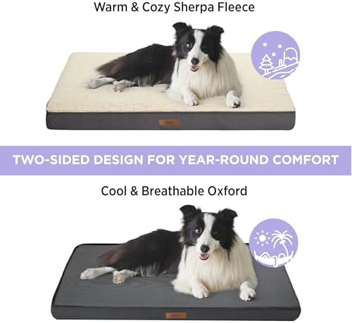 LE SURE Washable Egg Crate Foam Plush Dog Bed Cover, XL 44x32x3in, Grey