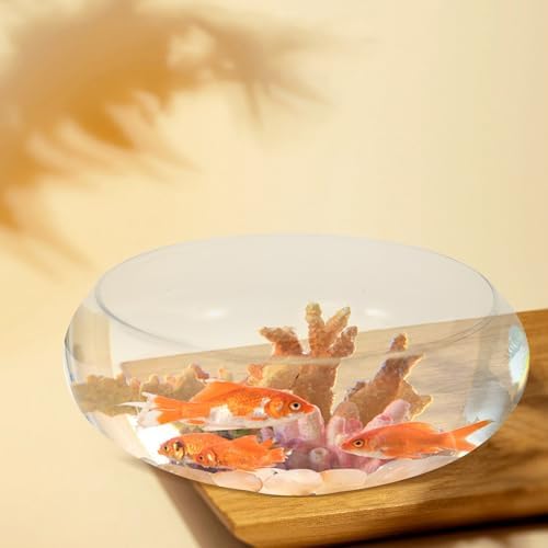 BESPORTBLE Clear Fish Bowl Vase Bubble Bowl Wide Mouth Flower Vase Round Shallow Planter Terrarium Aquatic Plant Pot Daffodil Pot Hydroponic Planter Fish Tank Bowl