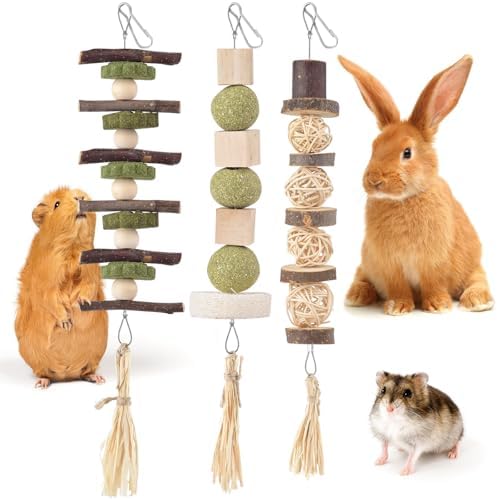 Bissap 3PCS Bunny Chew Toys, Natural Hanging Molar Treats for Small Pets